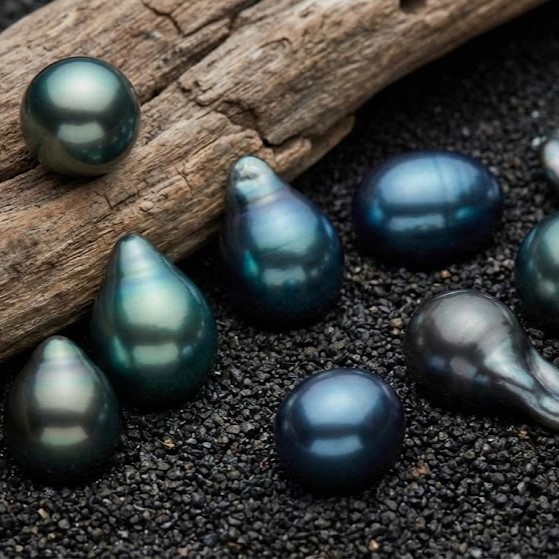 Tìm Hiểu Ngọc Trai Tahiti