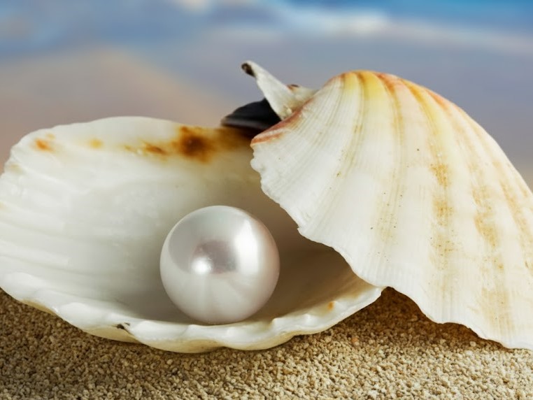 Sự hình thành của ngọc trai