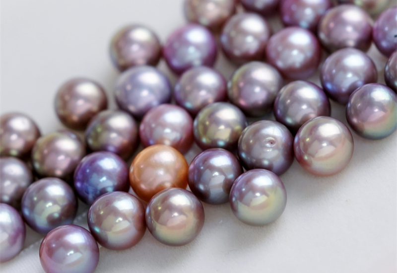 Bước 2: Nuôi cấy và Phát triển (Nurturing & Development)