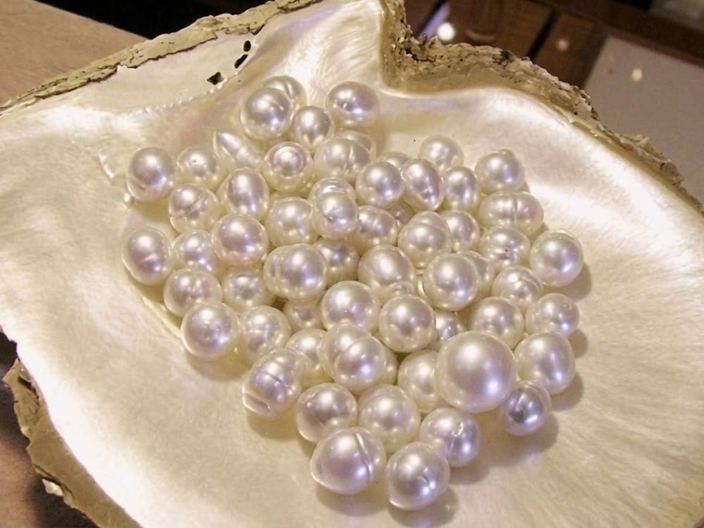 Độ bóng, chất lượng và giá trị thị trường của ngọc trai Akoya và South Sea