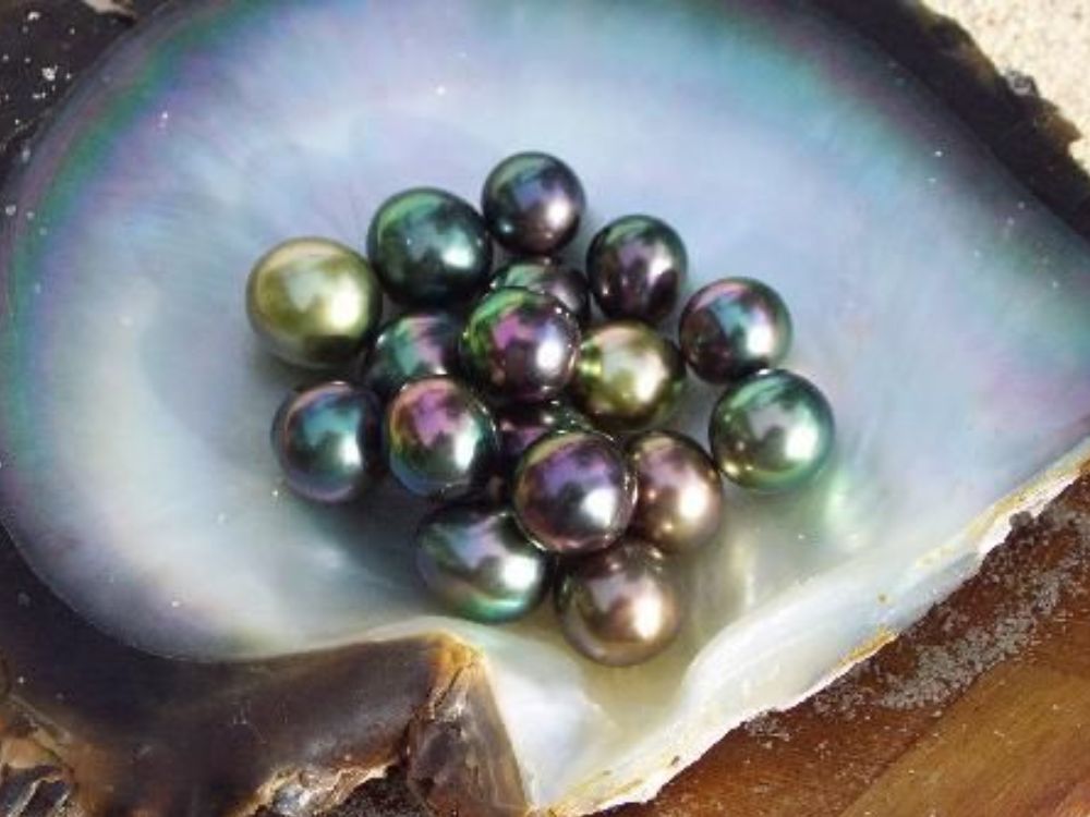 Bí mật từ đại dương sâu thẳm Tahiti