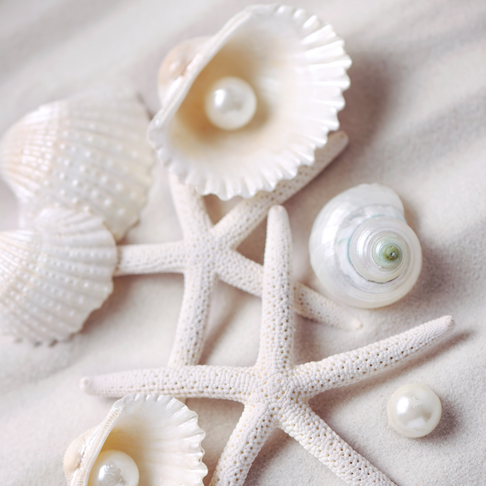 Ngọc Trai Món Quà Kỳ Diệu Từ Biển Cả