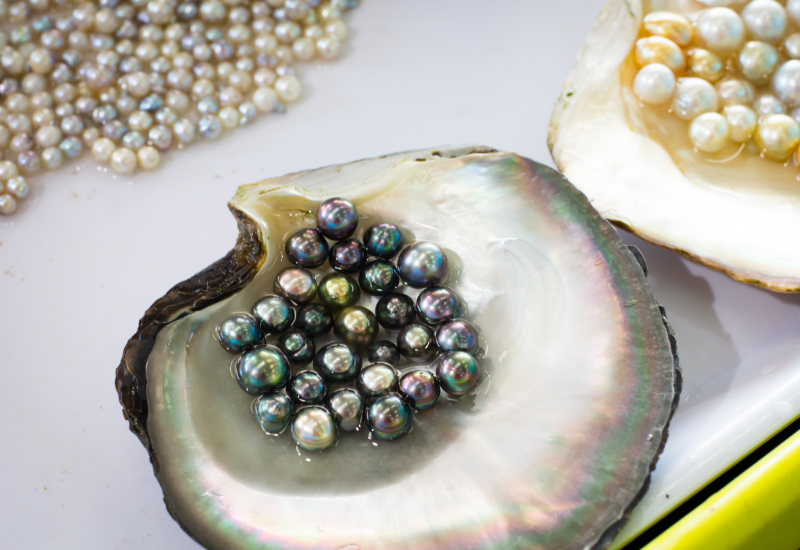 Đại dương – Môi trường tạo tác không thể thay thế