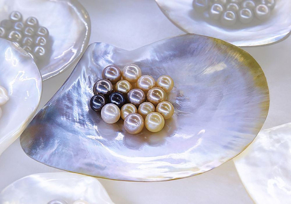 Định nghĩa “Ngọc Trai Nước Mặn”