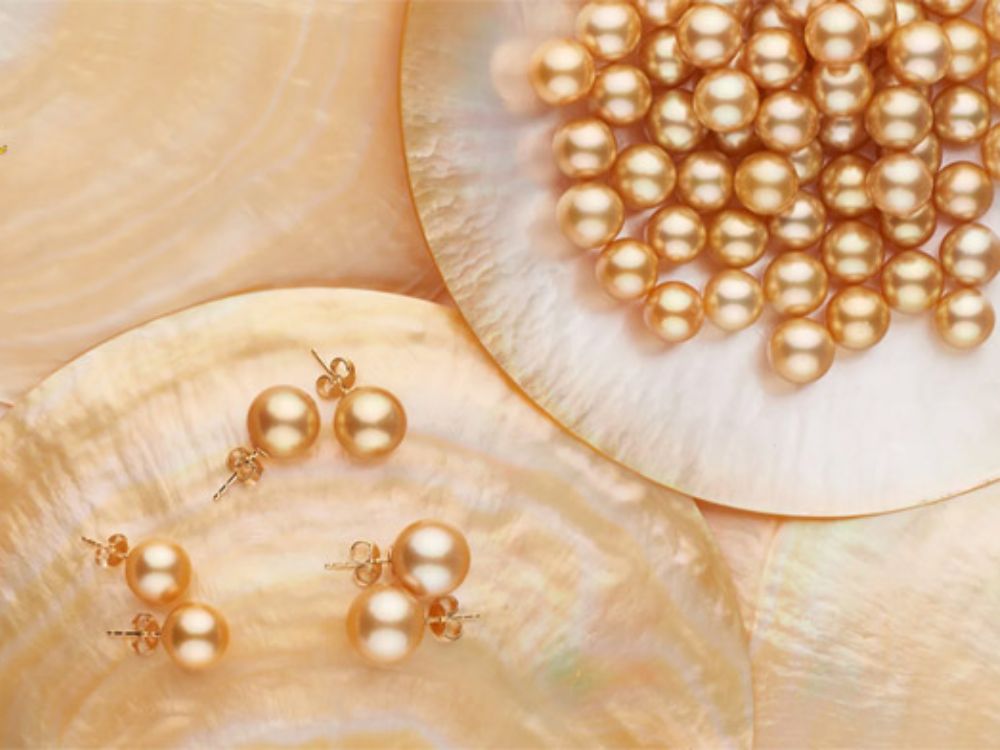 Nên chọn ngọc trai Akoya hay South Sea? ưu – nhược điểm từng loại
