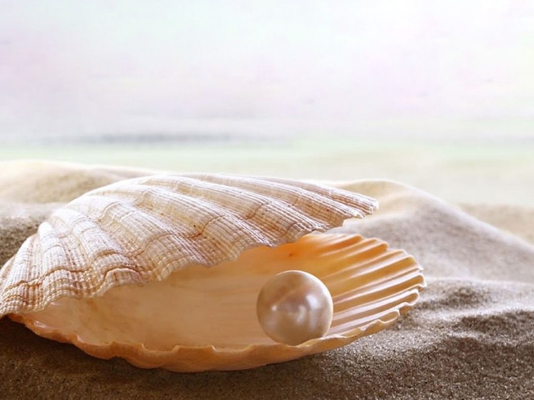 Ngọc trai nuôi là gì?