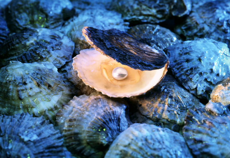 Ngọc trai giọt nước mắt của biển cả