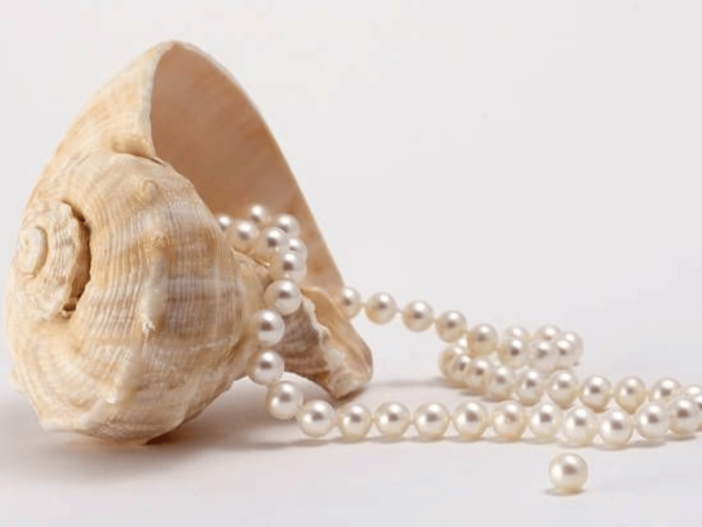 Phong cách nữ tính – Lãng mạn (Feminine & Romantic)