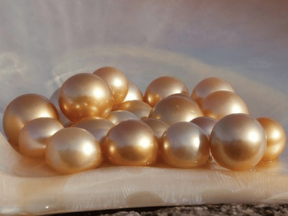 Sự khan hiếm và giá trị độc tôn – “Vương Miện” của giới kim hoàn