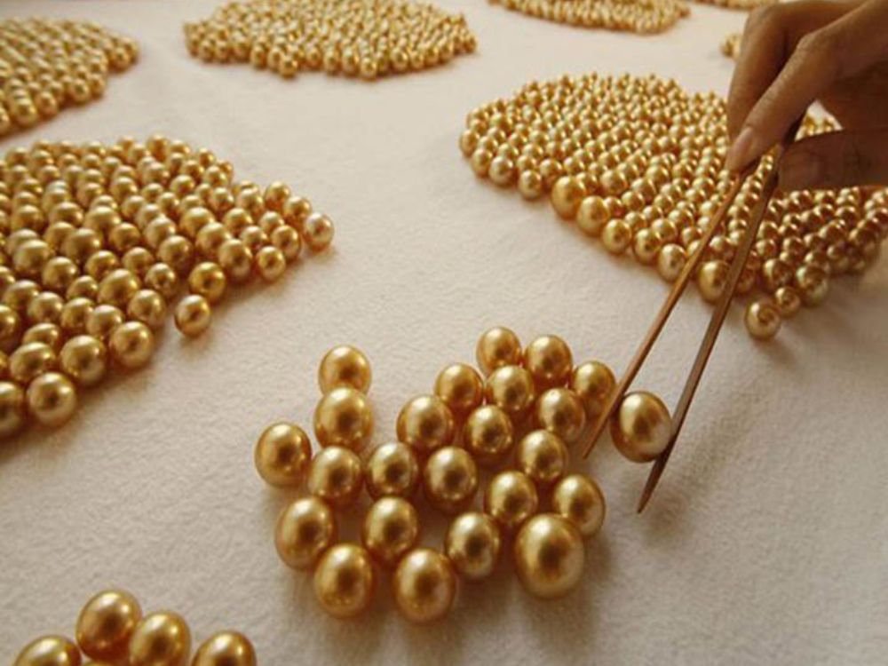 Kích thước lớn vượt trội