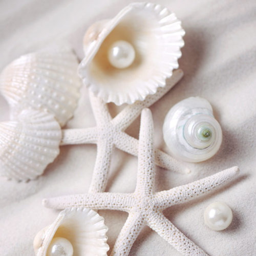 Ngọc Trai Món Quà Kỳ Diệu Từ Biển Cả