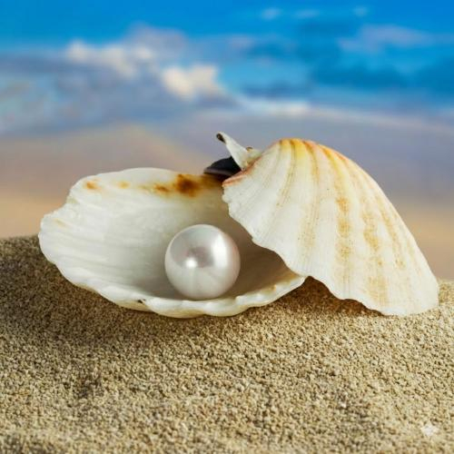 Vì Sao Ngọc Trai Không Cần Hoàn Hảo Nhưng Vẫn Giữ Giá Trị Trân Quý?