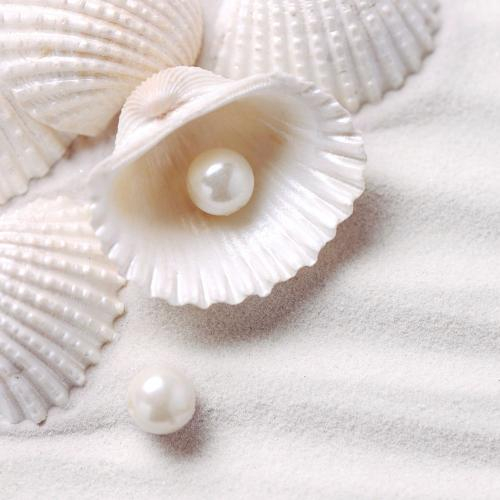 Điều Gì Khiến Ngọc Trai Trở Thành Biểu Tượng Của Sự Thanh Lịch?