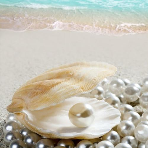 Sự Khác Biệt Giữa Ngọc Trai Tự Nhiên Và Ngọc Trai Nuôi Điều Biết Trước Khi Chọn Mua