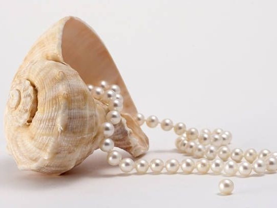 Ngọc Trai Nuôi Phổ Biến Ở Đâu?