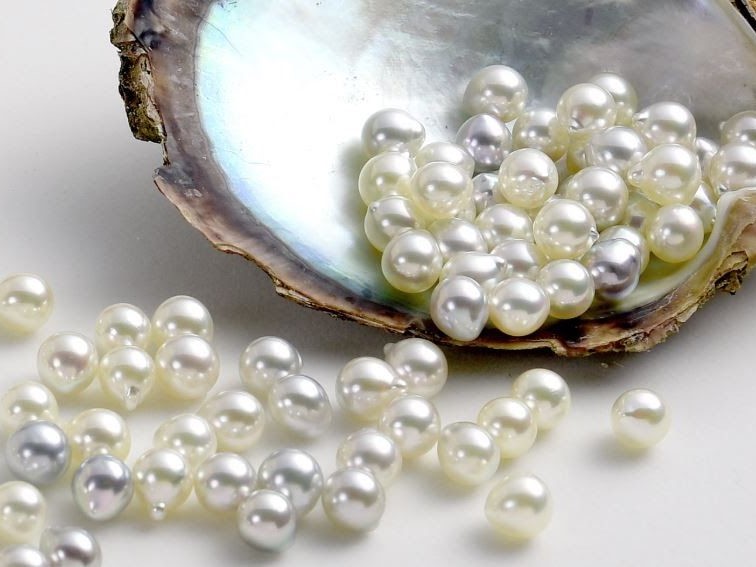 Các Loại Ngọc Trai Nuôi Phổ Biến