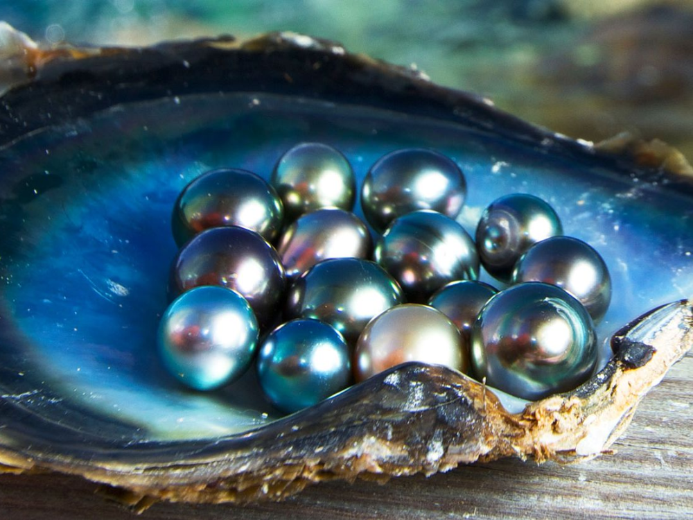 Xà cừ ảnh hưởng trực tiếp đến giá trị thẩm mỹ và kinh tế