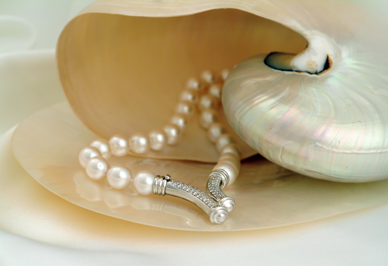 Giá trị của ngọc trai khác với vàng hay kim cương