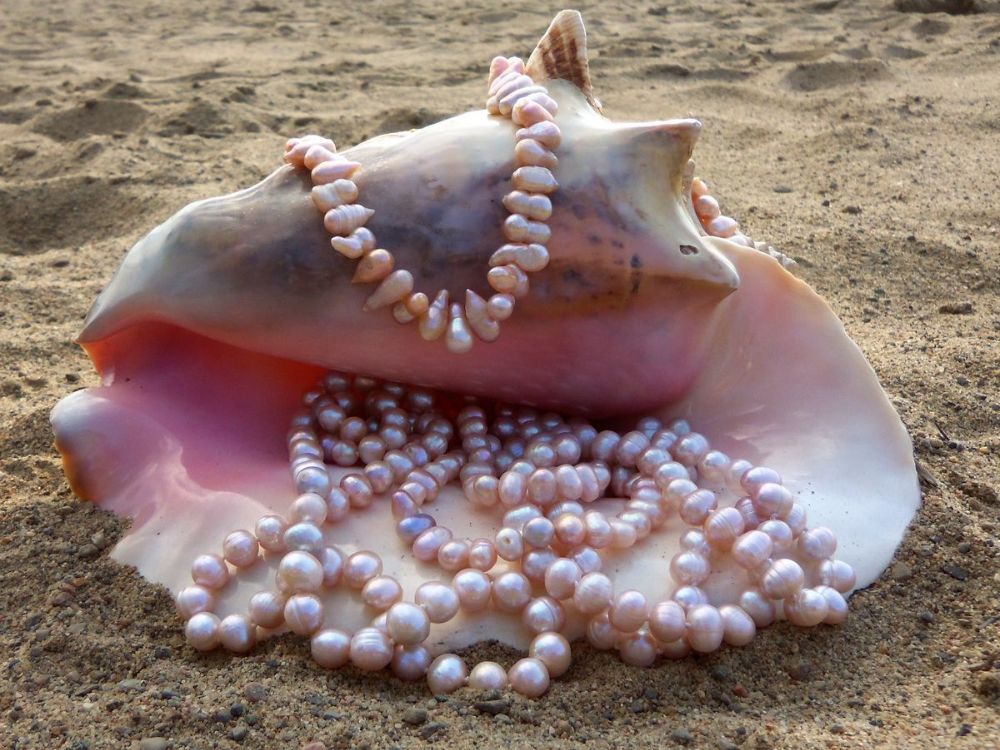 Vẻ đẹp trầm lắng và giá trị của sự tinh giản