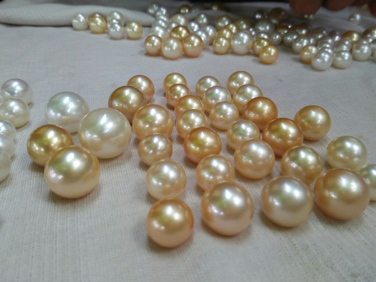 Không phụ thuộc tuổi tác hay sự kiện