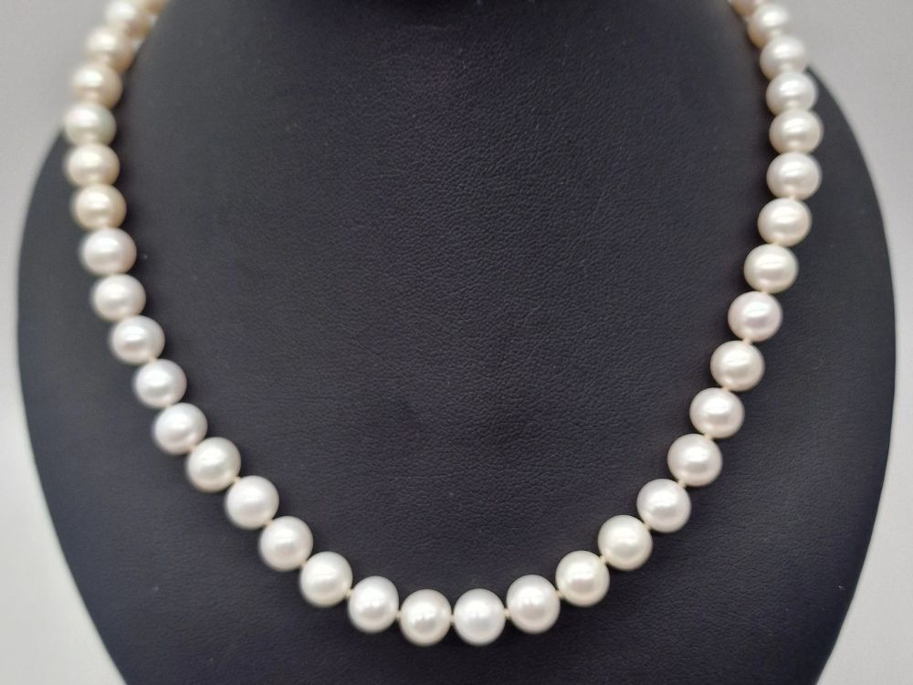 Trang sức dễ phối dễ yêu lựa chọn hoàn hảo cho mọi dịp quan trọng