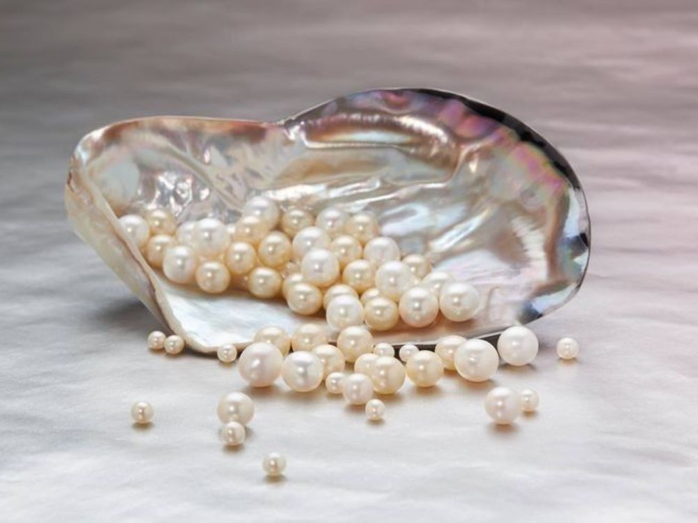 Các yếu tố môi trường ảnh hưởng đến quá trình hình thành ngọc trai