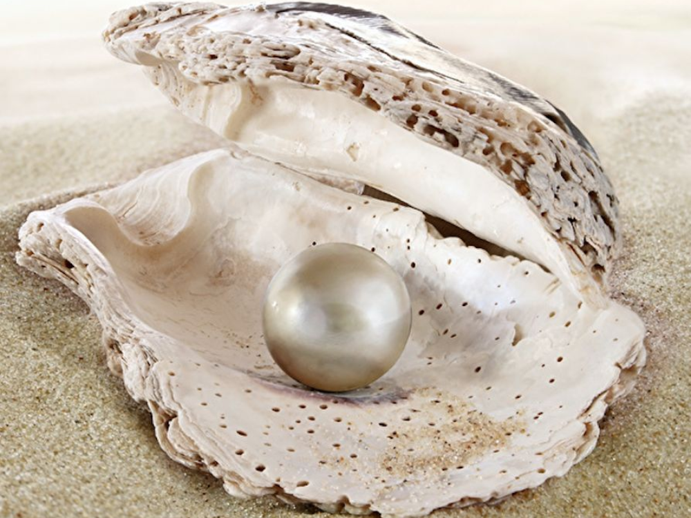 Thời gian giúp lớp xà cừ dày hơn