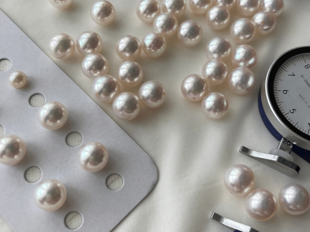 Kỹ thuật nuôi cấy và chăm sóc trai lâu đời, bài bản