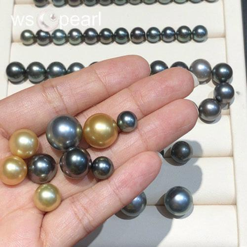 Làm Thế Nào Để Phân Biệt Giữa Các Loại Ngọc Trai Khác Nhau?