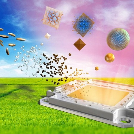 Đèn LED Đầu Tiên Trên Thế Giới Làm Từ Vỏ Trấu