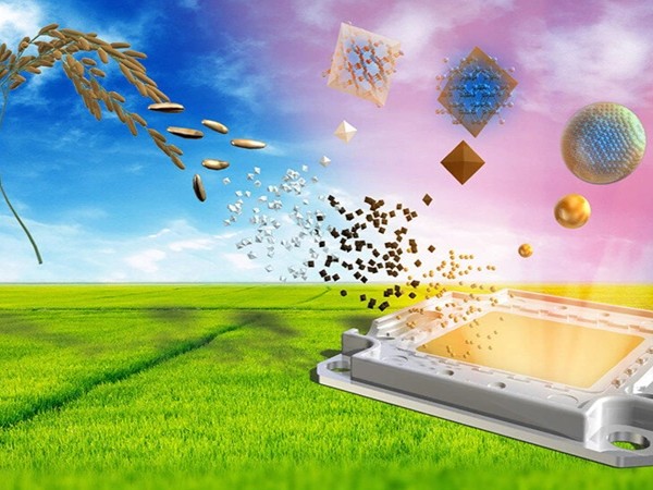 Đèn LED làm từ vỏ trấu đầu tiên trên thế giới