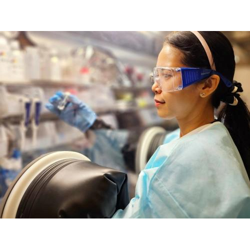 Trấu được dùng để chế tạo pin sạc