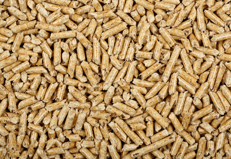 Phát điện và ứng dụng trong năng lượng sinh khối