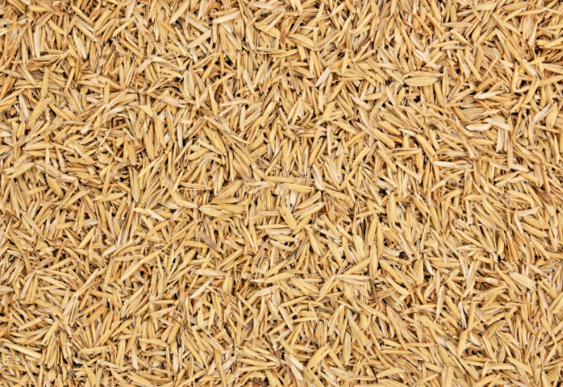 Trấu bị xem là phụ phẩm "bỏ đi" vì sao?