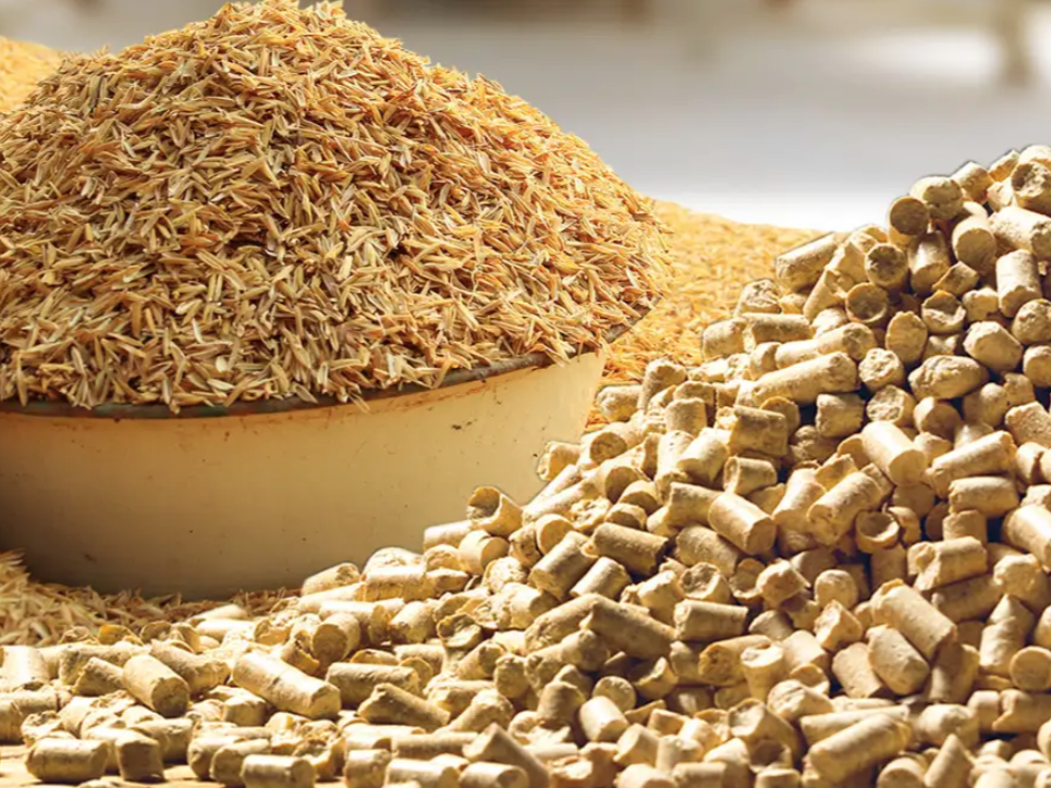 Tiềm năng năng lượng xanh từ vỏ trấu