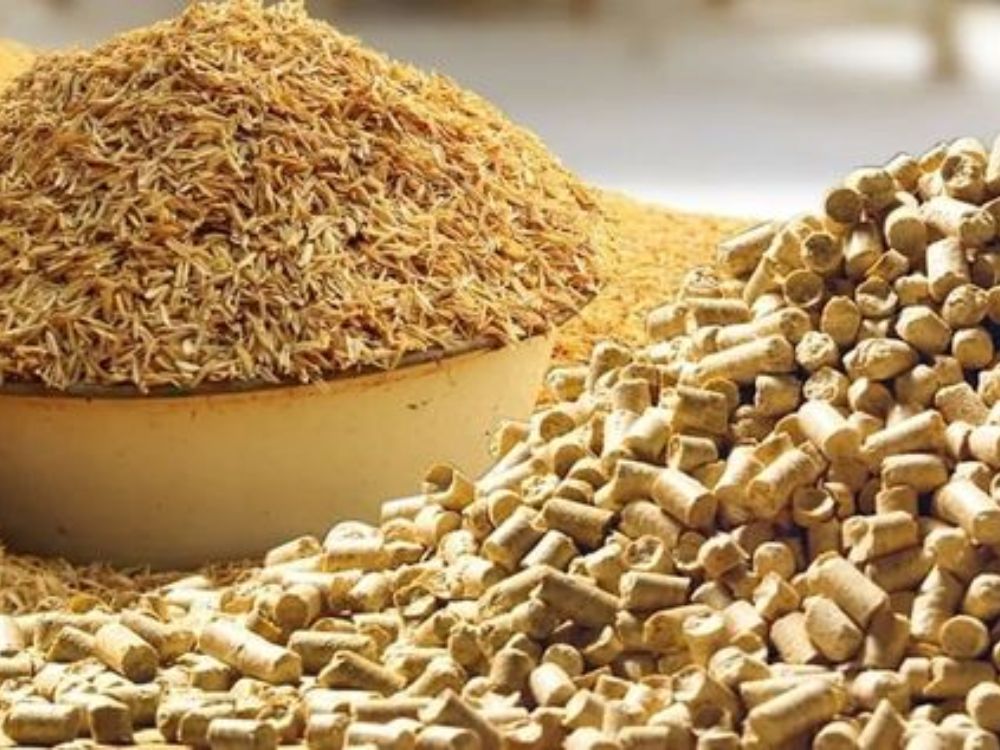 Cơ hội và thách thức trong phát triển nhiên liệu sinh học từ trấu hiện nay