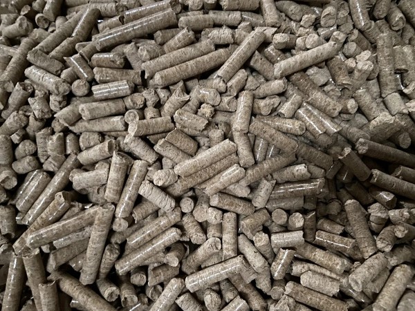 Trấu viên là gì?