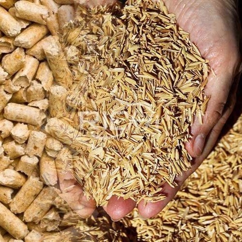 Vỏ Trấu Từ Phụ Phẩm Bị Ruồng Bỏ Đền Nguồn Sinh Khối Tiềm Năng