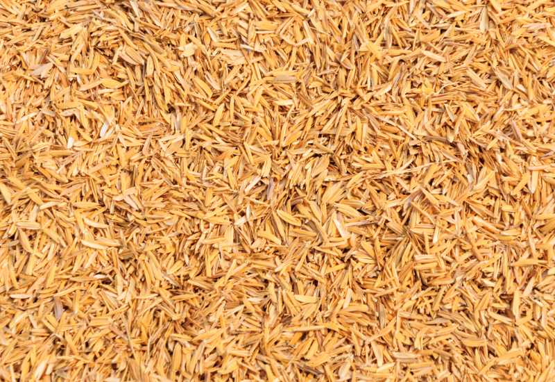 Nguồn nguyên liệu cho các ngành công nghiệp khác