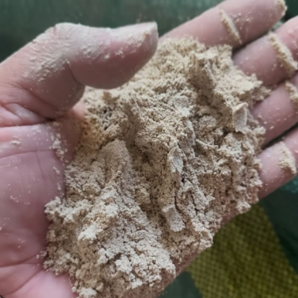 Vai Trò Của Trấu Mịn Trong Chăn Nuôi Gia Súc, Gia Cầm