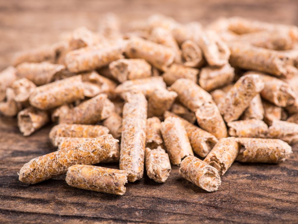 Nhiên liệu sinh khối thân thiện với môi trường từ trấu viên