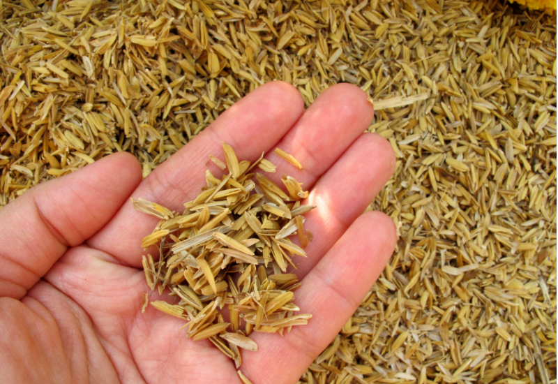 Lợi ích kép: Môi trường – Kinh tế – Cộng đồng