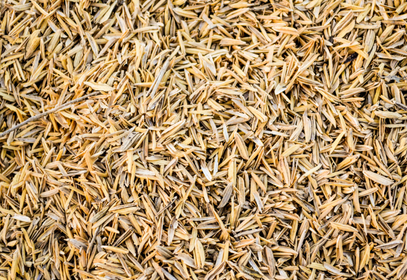 Hiệu quả sử dụng và khả năng thay thế nhiên liệu truyền thống