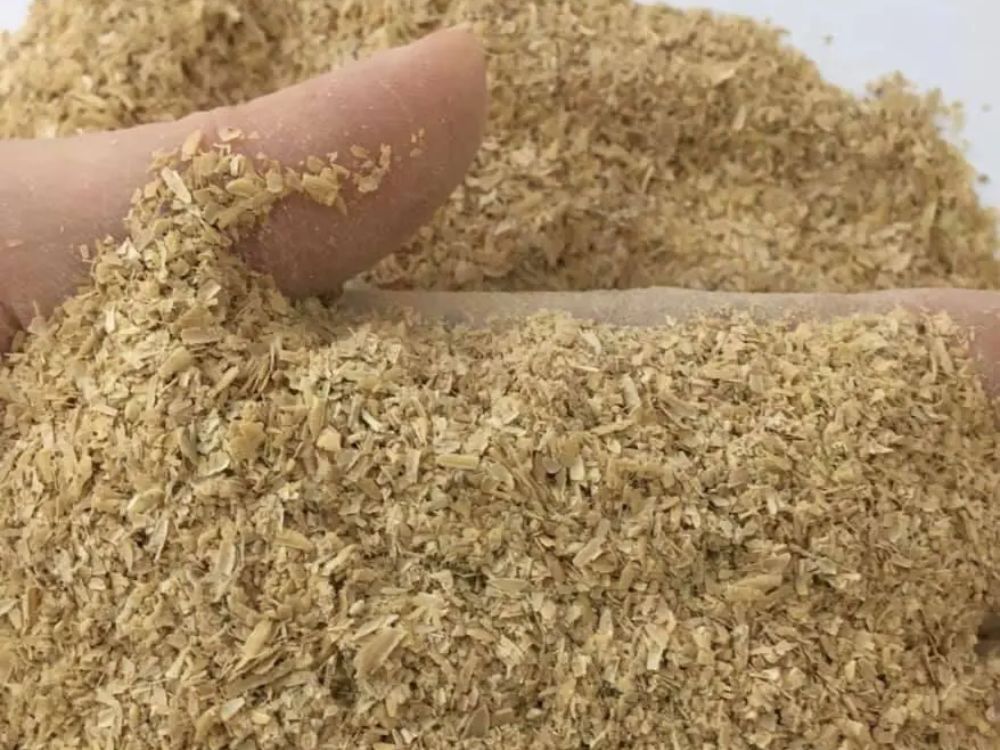 Lợi ích môi trường và kinh tế của nhiên liệu sinh học từ trấu