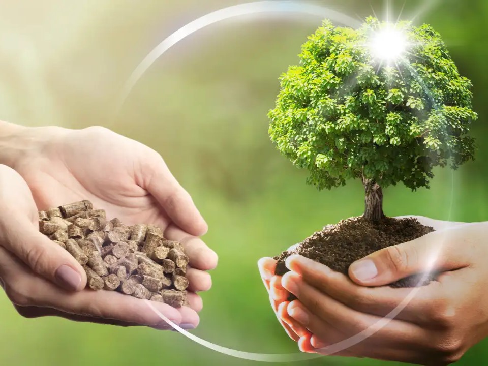 Tăng sức cạnh tranh và đổi mới công nghệ