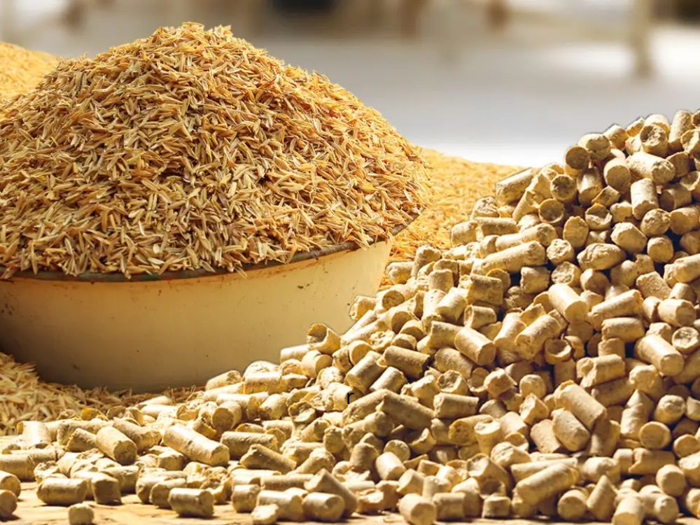 Ứng dụng của trấu trong sản xuất vật liệu công nghiệp