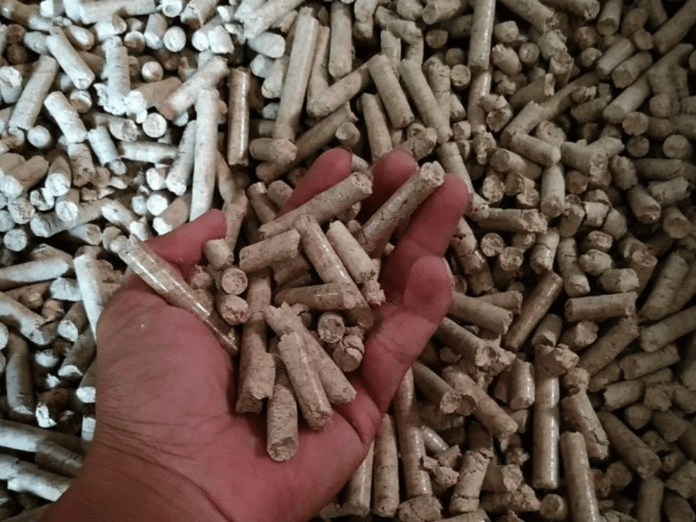 Hiệu suất năng lượng cao