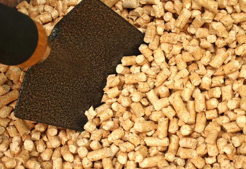 Lợi ích môi trường và định hướng chuyển đổi năng lượng