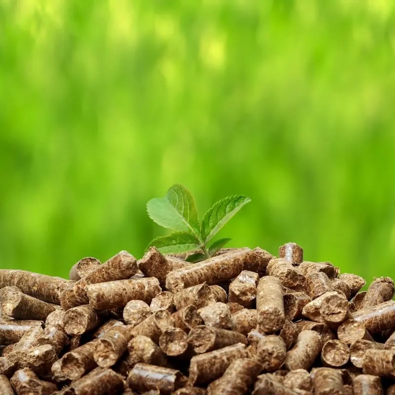 Biomass là lợi thế giúp Việt Nam phát triển công nghiệp bền vững?