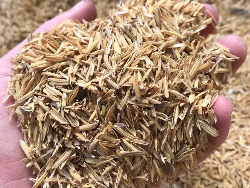 Nguồn nguyên liệu sinh khối tiềm năng cho công nghiệp hiện đại